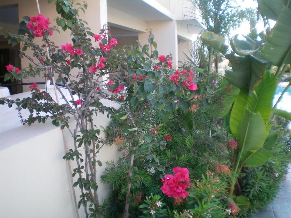 103 Elegant 2 Bed Apartment With Free Wifi, Ac, Pool & Gym! Larnaca Zewnętrze zdjęcie